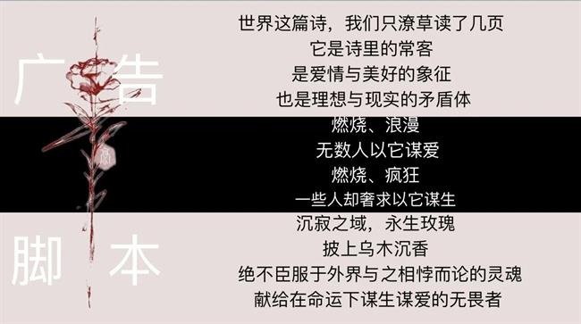 DM_20230626121237_022.jpg